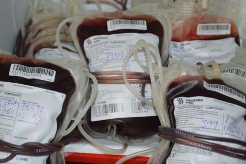 Devido a feriado, Hemoal não abrirá para doação de sangue neste sábado (30)