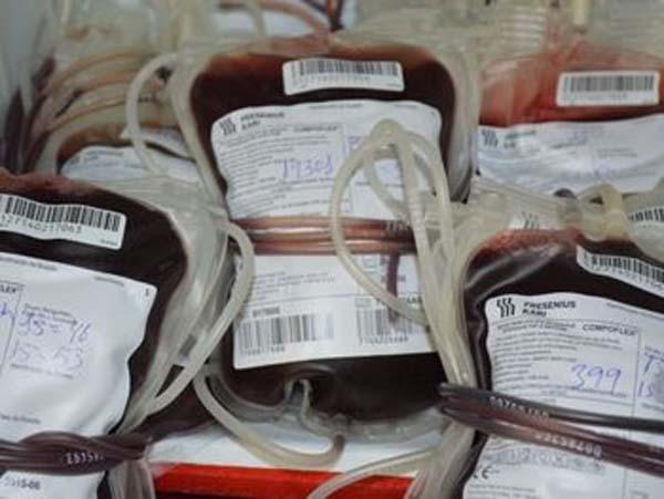 Hemoal necessita doações de sangue para o Carnaval