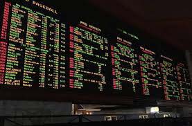 Destaques desta sexta-feira, 22 de outubro