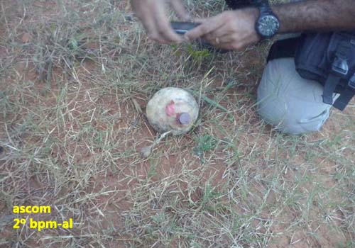 Esquadrão Anti Bombas do BOPE explodiu granada da 2ª Guerra encontrado na zona rural de Murici