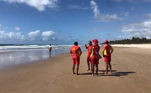 Ataques de caravelas são registrados na Praia do Francês