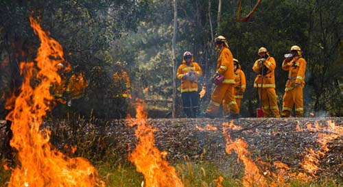 Chamas devoram milhares de hectares na Europa