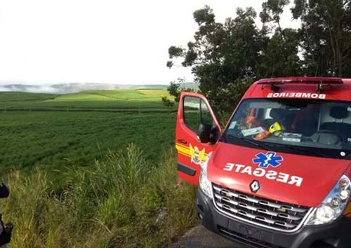 Jiboia é capturada tomando sol em muro de residência
