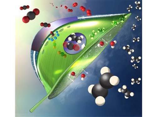 Braskem anuncia estudos para produção sustentável de plástico a partir da captura e utilização de CO2
