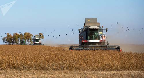 'Preocupação válida', diz analista sobre impacto de acordo entre China e EUA na soja brasileira