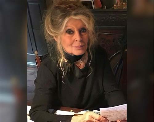 Lenda do Cinema Francês, Brigitte Bardot, Falece aos 91 Anos e Marca uma Era