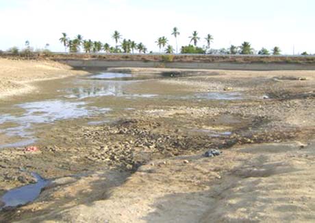Nordeste do Brasil teve pior seca dos últimos 50 anos em 2013, diz relatório