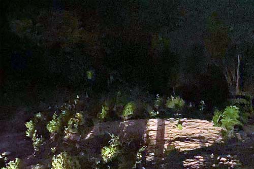 Três cadáveres são encontrados em córrego, no Vale do Reginaldo