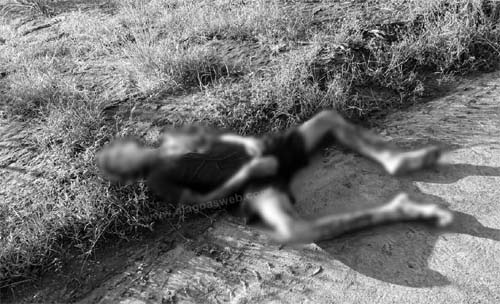 Corpo é Encontrado com Marcas de Tiros em Canavial