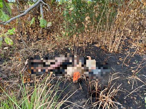 Polícia encontra corpo carbonizado na região metropolitana