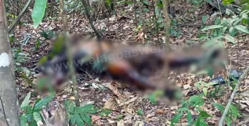 Encontrado Corpo Sem Identificação em Área Rural de Alagoas