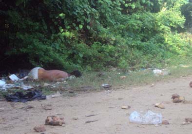 Homem é assassinado na Zona Rural de Olho d’Água das Flores