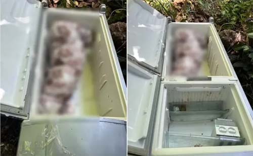 Trabalhador encontra cadáver dentro de geladeira quando fazia serviço de frete