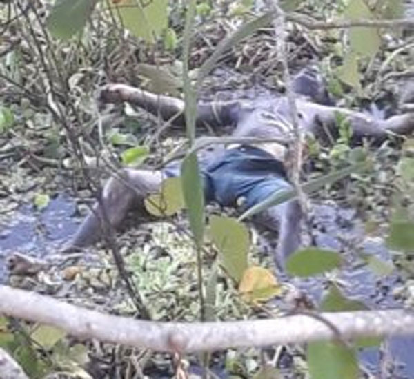 Cadáver encontrado às margens de rio continua não identificado