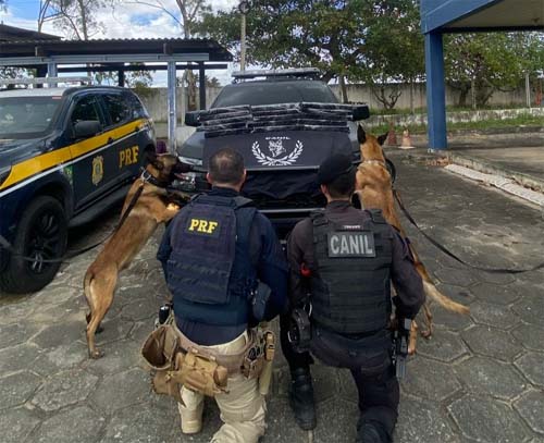 Homem é detido com mais de 17 kg de drogas durante operação na cidade de São Sebastião