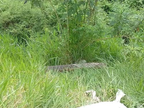 Caixão com restos mortais é abandonado na estrada em Mata Grande, AL; delegado diz que identificou responsável
