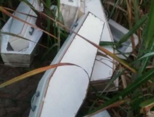 Populares encontram caixões brancos em canavial do município de São Sebastião