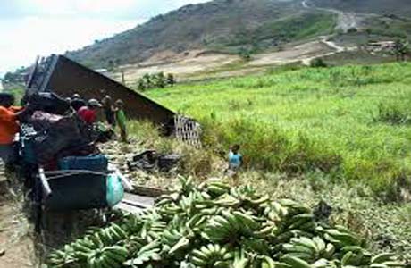 Duas pessoas morrem após caminhão carregado de bananas cair em ribanceira
