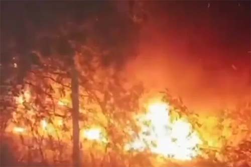 Veículo de carga despenca em encosta e é consumido pelo fogo em Pão de Açúcar, Alagoas