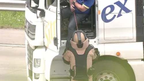 Motorista revela que encenação no Rodoanel foi montagem para chamar atenção à situação dos caminhoneiros