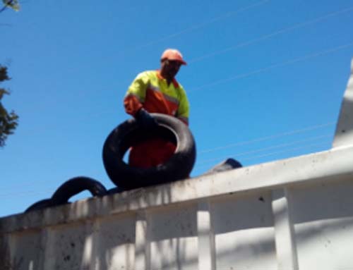 Aedes aegypti: coleta de pneus reforça ação preventiva