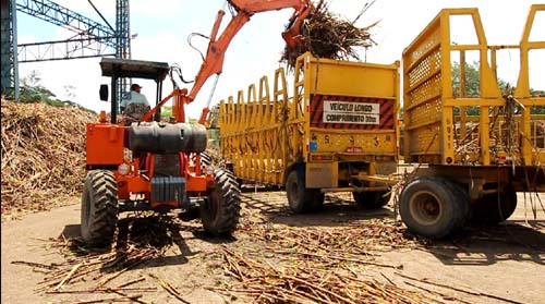 Alagoas beneficiou 15,9 mi de toneladas de cana até fevereiro