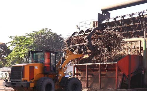 Fornecedores de cana têm safra de quase 8 mi de toneladas e apostam em crescimento para 22/23