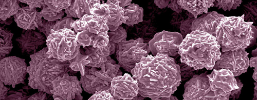 Terapia inédita na América Latina devolve futuro a paciente com câncer terminal