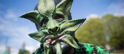 Uma breve história cultural da cannabis