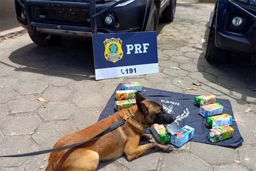 Operação policial descobre 10 kg de cocaína escondidos em caixas de suco em ônibus interestadual
