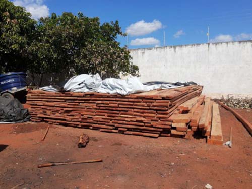 Polícia Civil apreende carga ilegal de madeira vinda da região amazônica