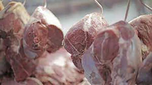 Destaques desta quinta-feira, 21 de outubro