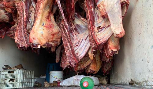 Fiscalização apreende 3,5 toneladas de carne imprópria para consumo