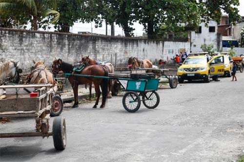 Carroceiros do Recife iniciam protesto devido à falta de respostas sobre novas regulamentações