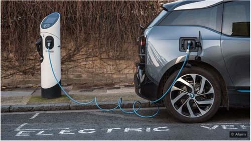 Como a fruta mais fedida do mundo pode ajudar a gerar energia para seu telefone