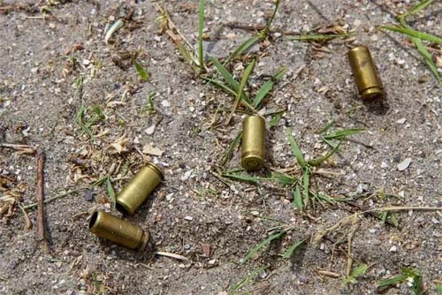 Mortes por intervenção policial crescem em AL, mesmo com queda da violência no país, revela Anuário