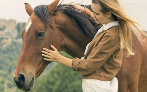 A impressionante memória dos cavalos