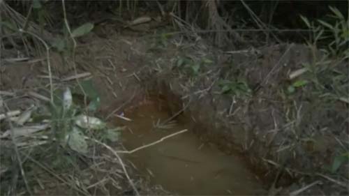 Trilha da morte: polícia encontra cemitério clandestino do tribunal do crime em SP