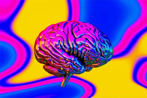 O que acontece no cérebro durante uma crise de ansiedade?