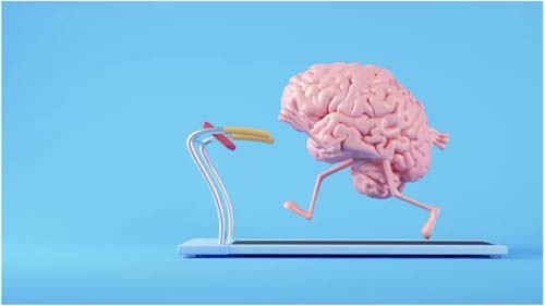 Por que fazer exercício evita que o cérebro encolha