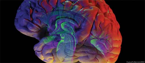 Identificação precoce de sinais de derrame cerebral pode salvar vidas e prevenir sequelas