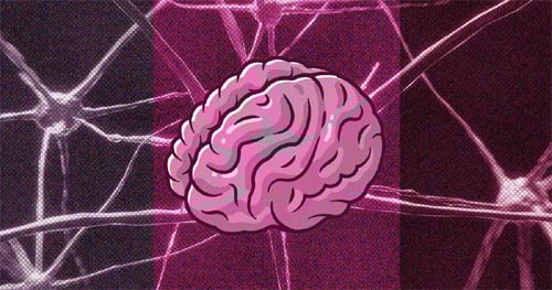 Cérebro comanda o ato de se alimentar: a fome biológica é saciada, mas não o prazer de comer