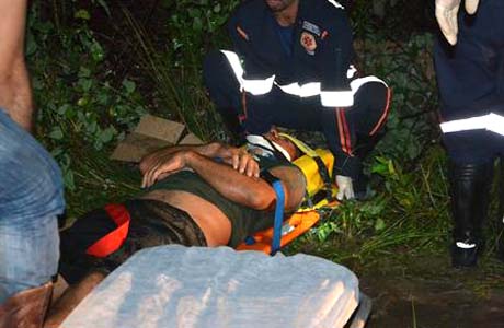 Animal na Pista causa acidente na AL-215 em Marechal Deodoro