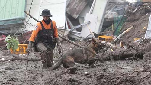 Chuvas torrenciais matam centenas de pessoas em cheias e deslizamentos de terra