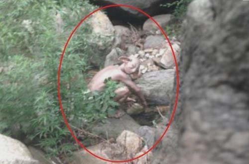 É o Gollum? Criatura bizarra encontrada em vale da China