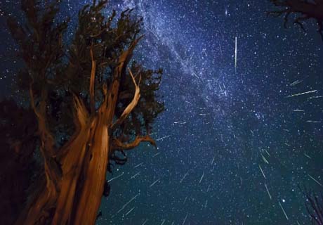 Chuva de meteoros trará até 100 meteoros por hora nesta terça