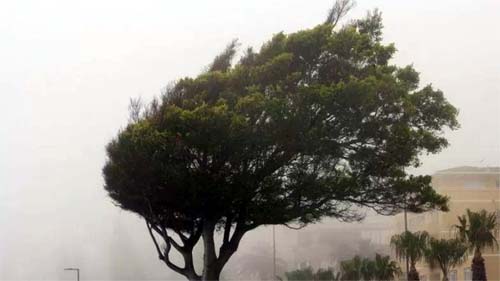 Ciclone extratropical: o que é o fenômeno que causa chuvas e ventania em parte do Brasil