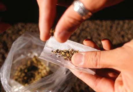 Parar consumo de maconha é tão difícil quanto de heroína