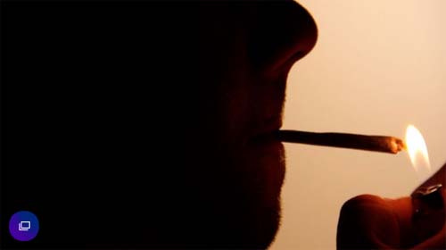 Maconha é: ilegal no Brasil ... mas até quando?