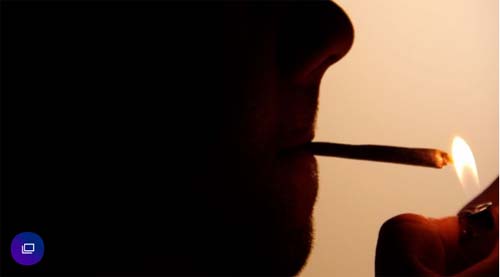 Maconha é: ilegal... mas até quando?